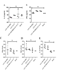 Igg (h+l) igg light chain igg f(ab')₂ igg vhh igg fc igg + igm iga + igg + igm igm iga lactoferrin fluorescein horseradish peroxidase biotin digoxin normal serum. Development And Pre Clinical Evaluation Of Newcastle Disease Virus Vectored Sars Cov 2 Intranasal Vaccine Candidate Biorxiv