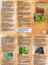 We did not find results for: Pengendalian Penyakit Kuning Pada Tanaman Cabai