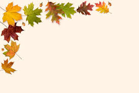 See thanksgiving background stock video clips. Autumn Leaves Frame Objects Indivstock