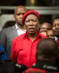 But i now realise that the vuvuzela is to these world cup blogs what julius malema is to my politics columns: Malema Says White People Are Safe Under His Leadership Warns Of An Unled Revolution News24