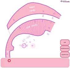 Get the best deal for pink trombones from the largest online selection at ebay.com. Pink Trombone