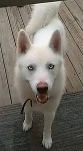 Sold a Beach home at 264 North End Blvd to this Happy Family! Look what was 