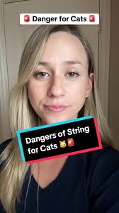 What Happens If My Cat Eats A Ribbon