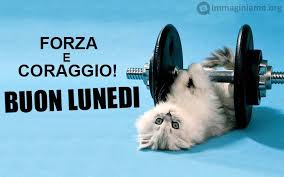 Vasta raccolta di cartoline per il compleanno: Buon Lunedi Immagini E Frasi Immaginiamo Org