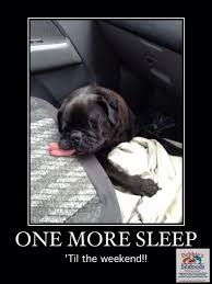 Debbie S Seafood One More Sleep Funny Memes Funny