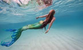 Nguồn gốc nàng tiên cá dưới góc nhìn khoa học - Báo VnExpress