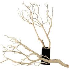 Birch Branches For Sale Uk Manzanita Branches Sandblasted 10 Up To 96 Manzanita Branches Manzanita Branch Decor