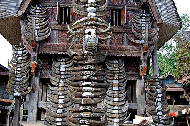 ผลการค้นหารูปภาพสำหรับ โทราจาแลนด์"