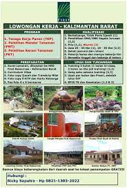Yang diantaranya adalah menentukan kebutuhan. Mohon Dibaca Baik Baik Lowongan Kerja Kelapa Sawit Loker Ini Khusus Buat Yg Berdomisili Di Wilayah Jawa Timur Bandar Lampung Kami Perusahaan Perkebunan Kelapa Sawit Berlokasi Di Kalimantan Barat Dgn Luas