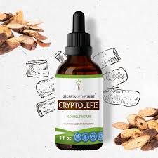 Image result for Cryptolepis products