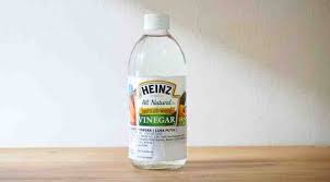 Maka jangan lewatkan bahasanya yang mendalam ada sederetan pertanyaan bagi yang belum mencobanya, yang sudah mencoba akan tau hasilnya bahwa cara mengusir tikus dengan cuka. 17 Cara Mengusir Tikus Yang Mudah Dan Murah Dengan Bahan Alami