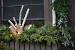 Halloween Window Boxes