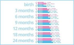 Baby Weight Chart By Month Kozen Jasonkellyphoto Co