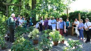 Garten 17 lieferanten auf yoys in pirna: Pirna Treffen Des Netzwerks Pflanzensammlungen Gabot De