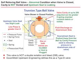 True Meaning Of Double Block And Bleed