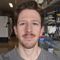 60+ "Groom" profiles