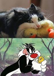 Pin On My Best Humor Pin Community Board