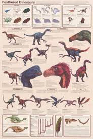 Feathered Dinosaurs Facts And Figures Paleontology Education Poster 24x36 Feathered Dinosaurs Dinosaur Posters Dinosaur Facts