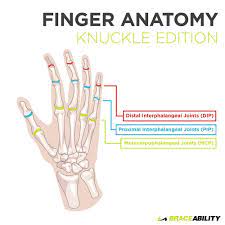 Tingling of both the pinky finger and ring finger together can be a sign of entrapment or compression of the ulnar nerve in the arm due to problems with the. Your Finger Joint Pain Is Probably Caused By Arthritis