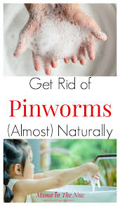 How To Treat Pinworms Almost Naturally For Good How To Treat Pinworms Pinworm Treatment Health