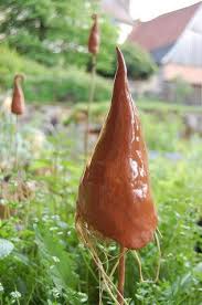 Ohrwurm Nisthilfe Ohrwurm Mutze Insektenhotel Ohrwurm Insektenhotel Insekten