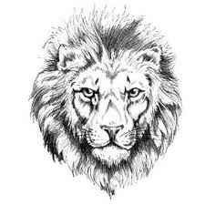 Black And White Lion Tattoo Lion White Lion Album Covers Animal Picture Lion Head Tattoos Lion Tattoo 3d Tattoos