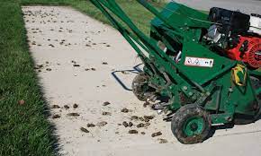 Both gypsum and lime are used as soil amendments. Wake Up Your Lawn Mlive Com
