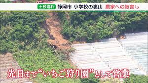 2日間で半月分の雨量 静岡市久能小学校の裏山で土砂崩れ 雨の後の注意点とは（静岡県） | TBS NEWS DIG