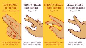 24 Accurate Pregnancy Period Color