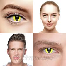Yes, we take vision insurance! Cat Eye Yellow Contact Lenses 30 Day Chromaview Wholesale Uk