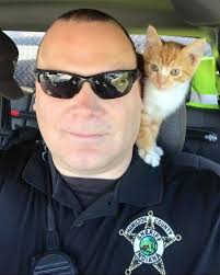 What are the questions regarding animal welfare in Spartanburg County?