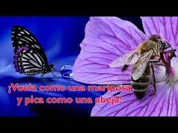 Pin On Meditacion