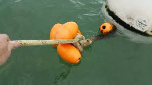 We did not find results for: Mooring Pendant Debacle Sailboat Owners Forums