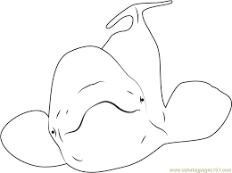 You can print or color them online at getdrawings.com for absolutely free. Beluga Whale Coloring Page For Kids Free Whale Printable Coloring Pages Online For Kids Coloringpages101 Com Coloring Pages For Kids