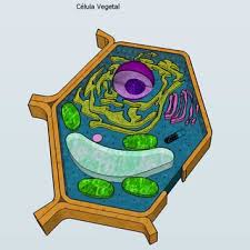 We did not find results for: Muse Schematic Diagram Of The Double Mechanical Stage Used For Download Scientific Diagram