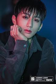 Dkb Official On Twitter In 2020 Dark Brown Eyes Brave Kpop