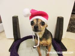 Dann lass dich inspirieren von bommel, rechtslinks & co.! Kleine Hunde Weihnachtsmutze In Pink Mit Bommel Hakeldinge
