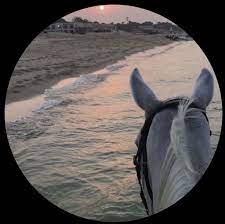 pin by sh on ᴀᴠᴀᴛᴀʀ in 2021 horse profile sky aesthetic aesthetic movies