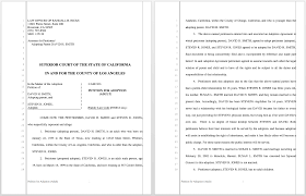 Download these 48 free petition templates to study and review in order to prepare your own petition either for online purposes or in print. Sample Partial Adult Adoption Petition