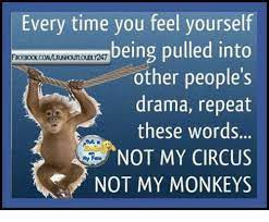 Every Time You Feel Yourself Being Pulled Into Other People S Drama Repeat These Words Not My Circus Not My Monkeys Meme On Me Me
