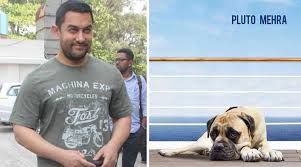 Didn T Think Twice Before Playing Pluto The Dog Aamir Khan Entertainment News The Indian Express Also you can share or upload in compilation for wallpaper for dil dhadakne do, we have 28 images. playing pluto the dog aamir khan
