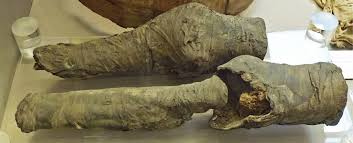 The following is a list of mummies that include egyptian pharaohs and their named mummified family members. Scientists Say These Mystery Knees Belonged To Egypt S Queen Nefertari