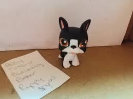 Добро пожаловать в волшебную страну лапкавилль! Littlest Pet Shop 826 Black White Boxer And Similar Items