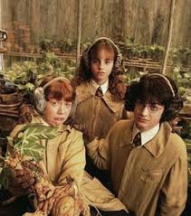 Обои на рабочий стол по теме harry potter. Golden Trio Images On Favim Com