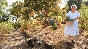 Unframed raised bed soil depth depends on what plants will be grown, what the soil conditions under the berm are, and what the desired aesthetic effect is. Why Deep Watering May Be The Answer To Your Garden Woes Los Angeles Times