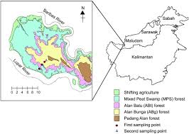 The response of gandul, a canning pineapple (ananas comosus (l.) merr.) variety, to varying amounts of nitrogen (n), phosphorus (p2o5), and potassium (k2o) was studied on a deep peat soil in johore, malaysia. Variations In The Rate Of Accumulation And Chemical Structure Of Soil Organic Matter In A Coastal Peatland In Sarawak Malaysia Sciencedirect