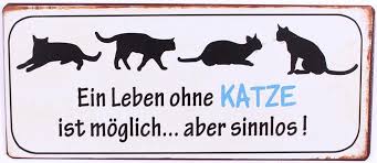 Welchen sinn hat ein sinnloses leben? Leben Ohne Katze