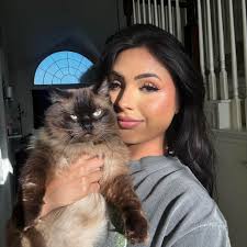 Reliable mechanic in Saginaw, Michigan today?