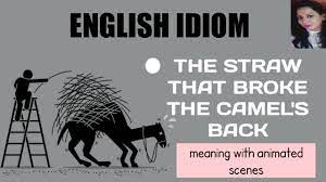 Dromedary camels get up to about 6.5 feet (2 m). English Idiom The Straw That Broke The Camel S Back Meaning With Animated Scenes Youtube