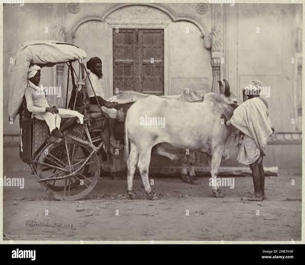 Shepherd and robertson hi-res stock photography and images - Alamy